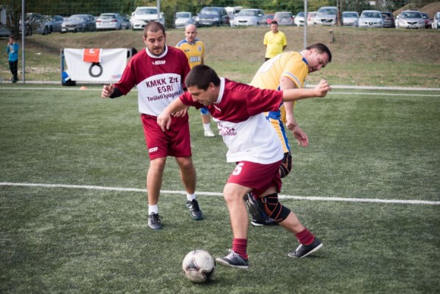 dsc4161komlosigabor.jpg